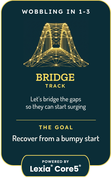 Card with a geometric bridge illustration and text on a dark green background Dark card with yellow bridge wireframe and text reading: Wobbling in grade 2-5 - BRIDGE - Yellow Track - They are exhausted after school, resistant to reading either language, and starting to guess at English words. Represents the BRIDGE program and how it helps French Immersion students with both English and French.
