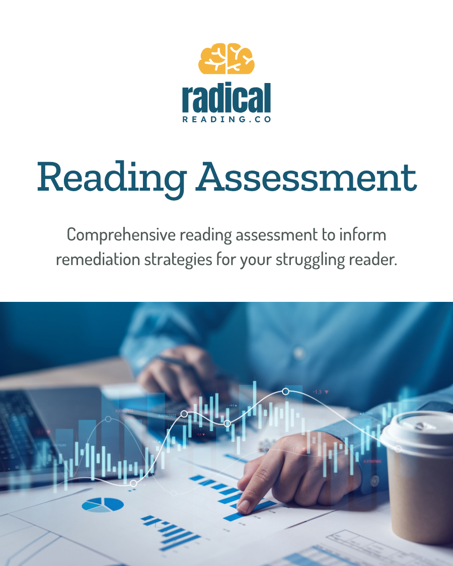Cover of 'Reading Assessment' by Radical Reading Co with a person working on a laptop and analyzing graphs.