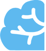 Blue Radical Reading brain logo for the Ignite track, focusing on SK reading readiness and early neural wiring.