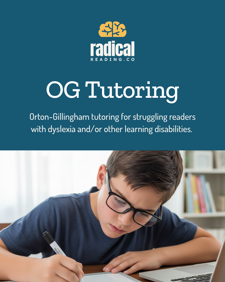 Promotional image for Radical Reading Co. OG Tutoring with a boy studying at a desk.
